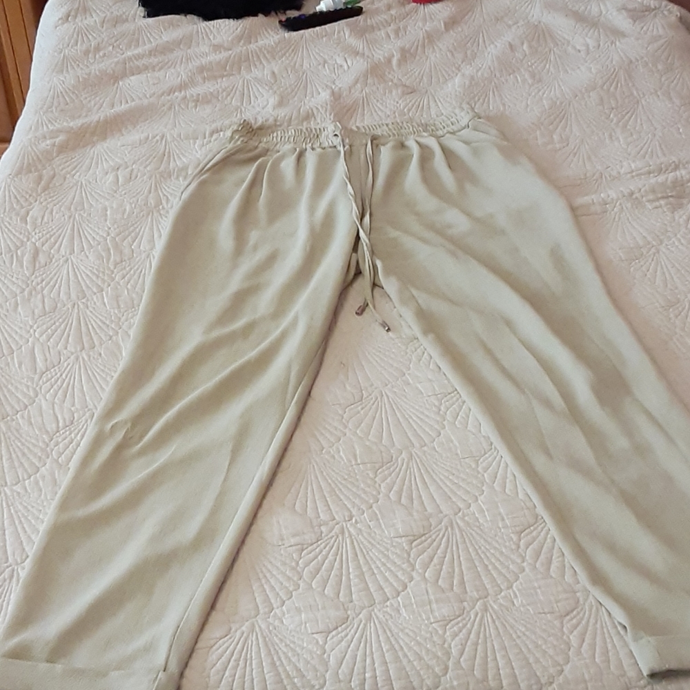 Zara relaxed casual slacks. Taupe